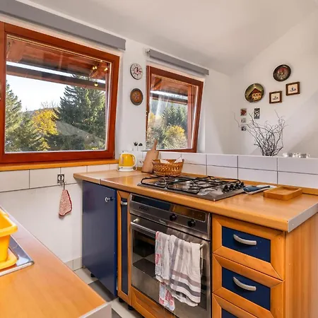 Tolles In Mit Wlan Apartment Ravna Gora